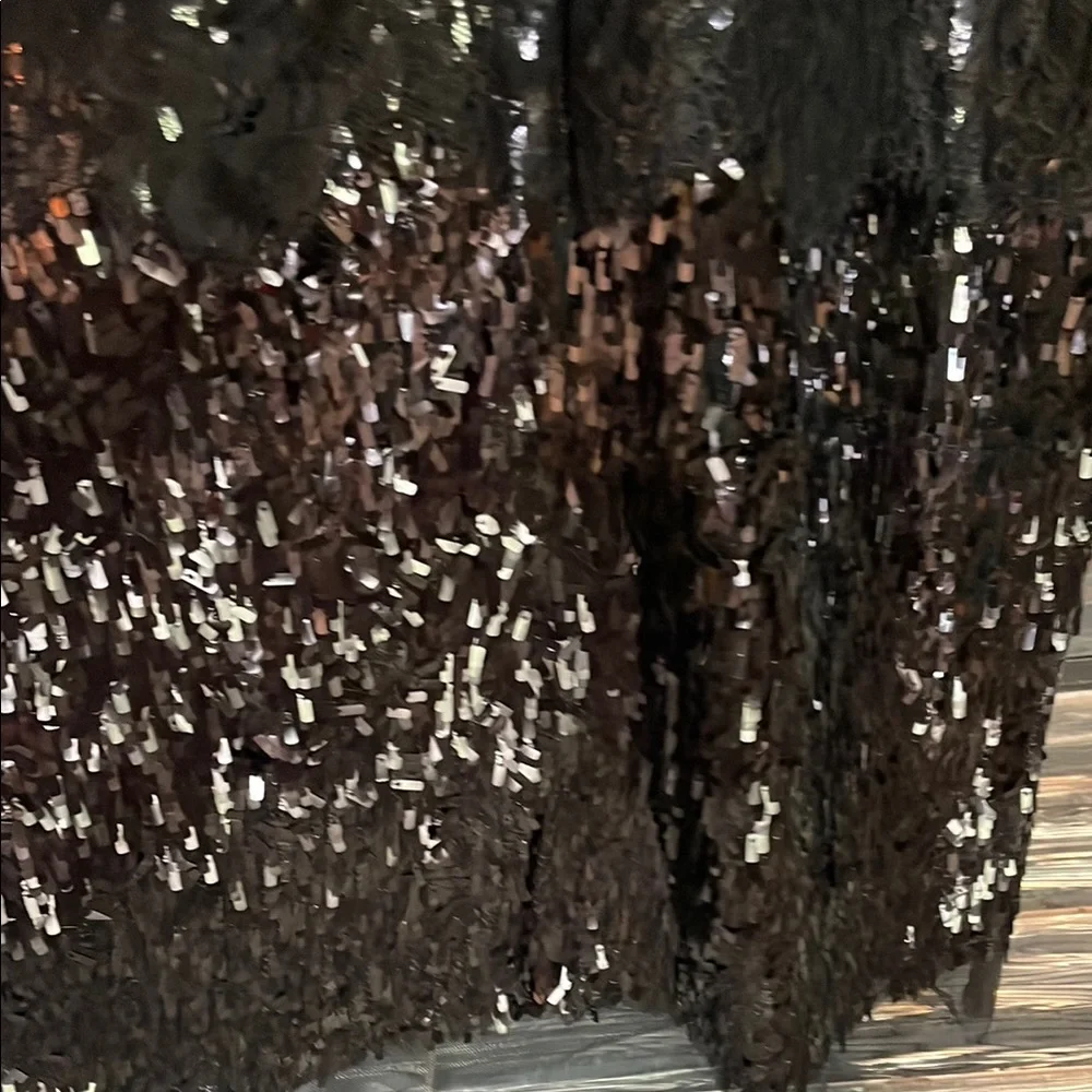 Elegant Black Sequin Dress - Picture 6 of 9